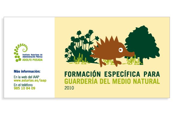 Imagen número 5