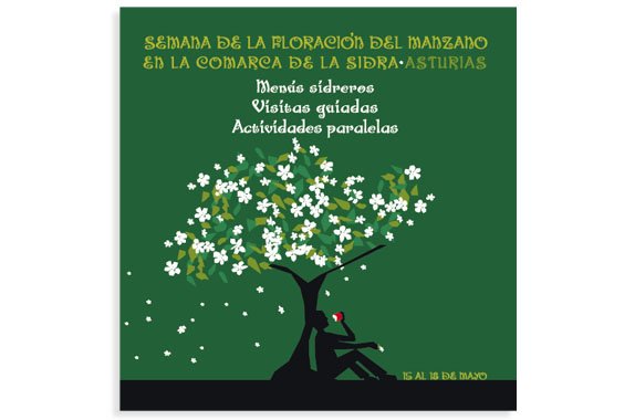 Imagen número 4